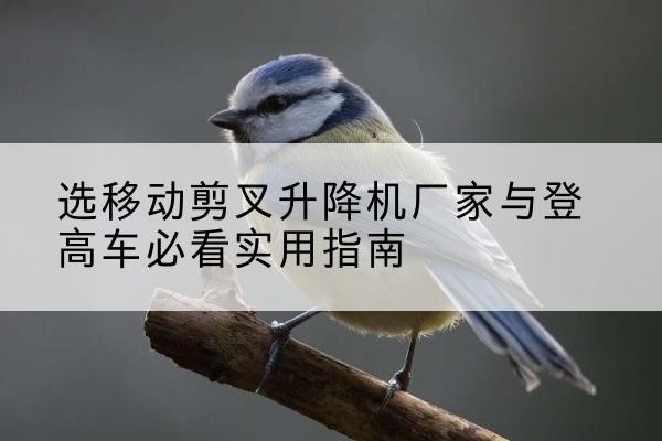 吉安电动升降机厂家-选移动剪叉升降机厂家与登高车必看实用指南