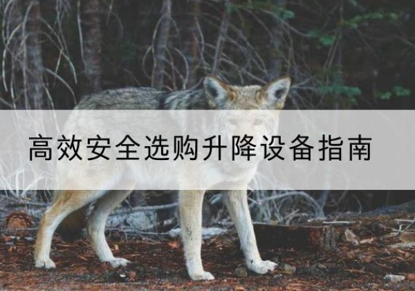 吉安升降货梯厂家推荐-*安全选购升降设备指南